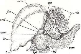 example2