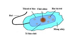example2